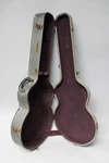 60S Gretsch Archtop Silver Sparkle Case. Fixed Price $395.00.