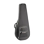 Road Runner Polyfoam Acoustic Guitar Case. Fixed Price $74.99.