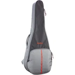 Breedlove Concerto 34" Scale Bass Gig Bag. Fixed Price $69.00.