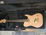 Washburn Nele Deluxe Electric Guitar With /hard Shell Case. Fixed Price $2890.00.