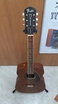 Fender Tim Armstrong Deluxe Acoustic Electric Guitar Tested Working Japan Used. Fixed Price $610.00.