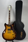 D'angelico Excel Dc Sp Semi-hollow Electric Guitar W/original Case Sunburst. Fixed Price $989.99.