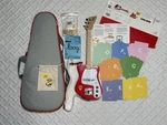 Loog Mini Electric Guitar, Gig Bag, Strap, 2 Picks Wall Hanger Extra Strings Etc. Fixed Price $225.00.