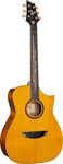 Cort Luxeii Series Concert Acoustic Electric Guitar. Natural Glossy. Fixed Price $1399.99.